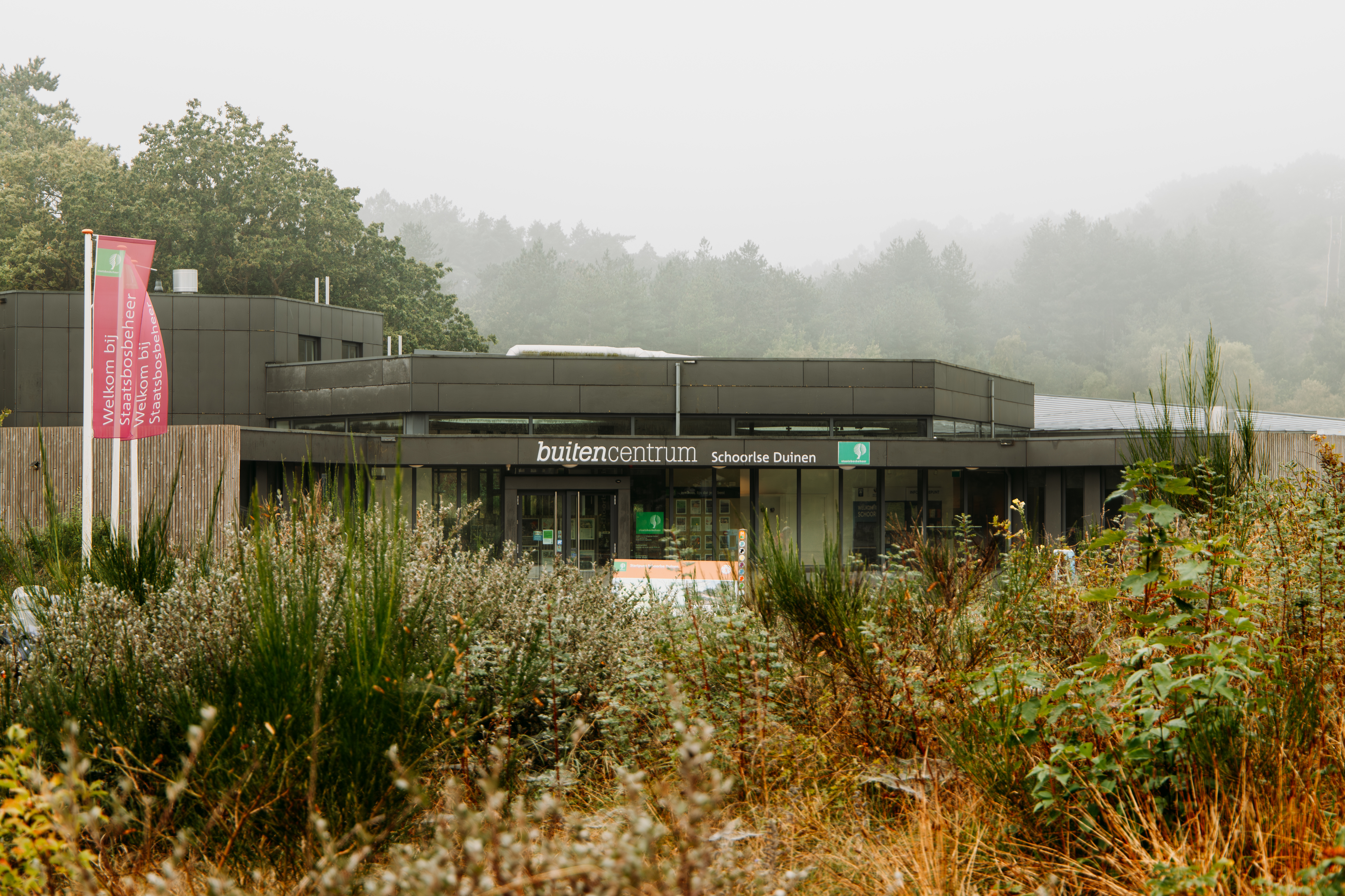 Foto van buitencentrum Schoorlse Duinen in de mist en met planten in het duin