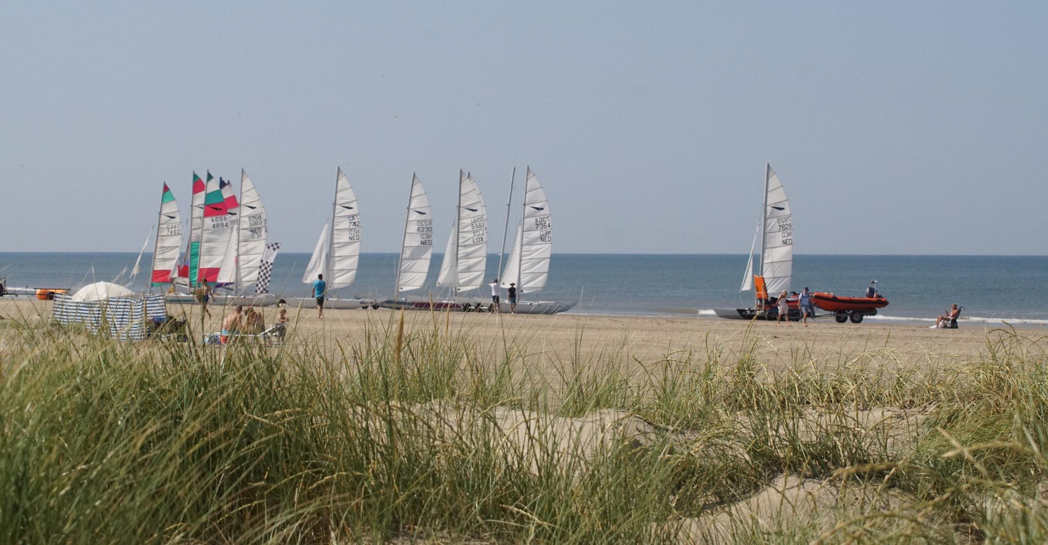 Zeilboten met witte zeilen staan opgesteld op het strand bij de zee, klaar om het water op te gaan. Op de voorgrond zijn duinen met gras zichtbaar, terwijl enkele mensen op het strand genieten van de zon en de activiteit.