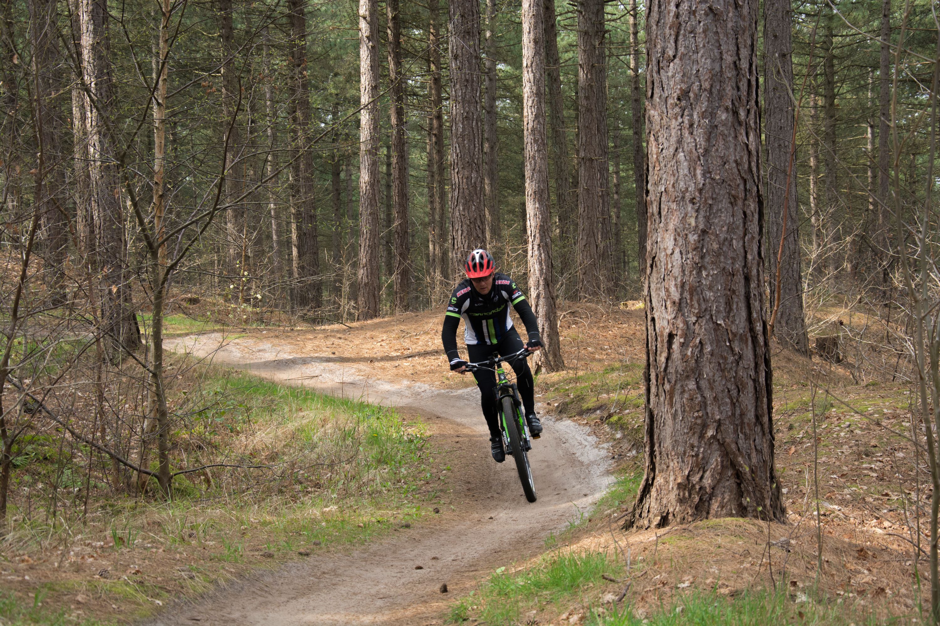 mountainbiker over het parcours in de Schoorlse Duinen met bomen